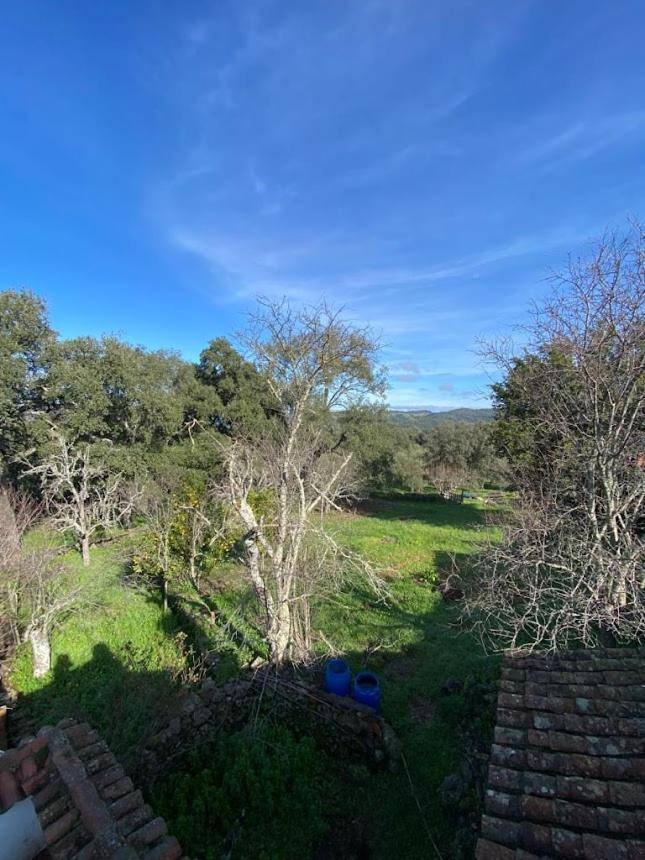 Espaciosa Y Elegante Casa Rural En Los Marines المظهر الخارجي الصورة